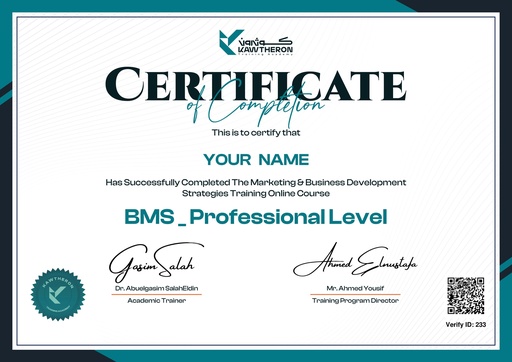 BMS Certificate Professional